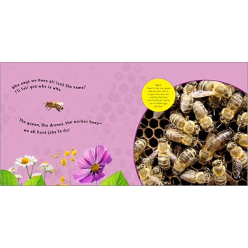 The Buzzy Bee Book for Kids - Fun & Learning Combined
