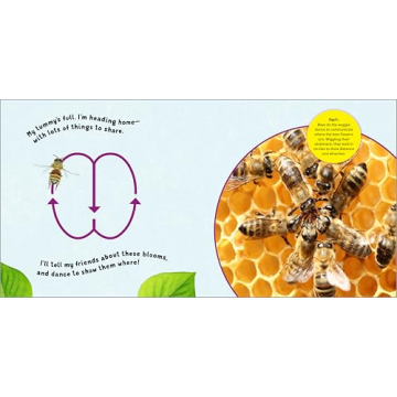 The Buzzy Bee Book for Kids - Fun & Learning Combined