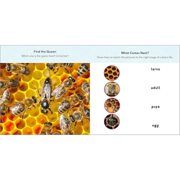 The Buzzy Bee Book for Kids - Fun & Learning Combined