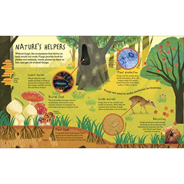Humongous Fungus: A Colorful Book for Kids and Families