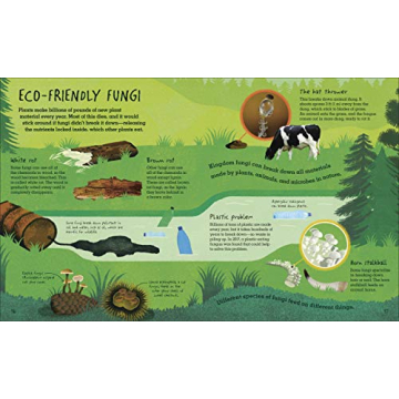 Humongous Fungus: A Colorful Book for Kids and Families