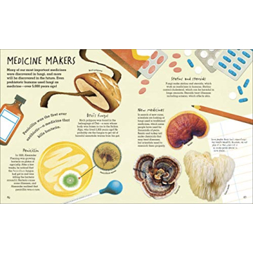 Humongous Fungus: A Colorful Book for Kids and Families