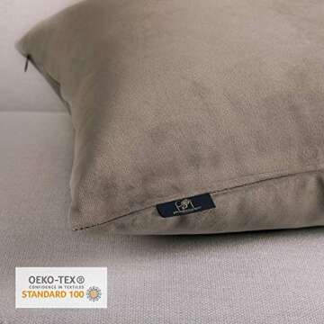 Phantoscope Pack of 2 Velvet Decorative Throw Decorative Pillow Cover Soft Solid Square Cushion Case for Couch Taupe 22 x 22 inches 55 x 55 cm