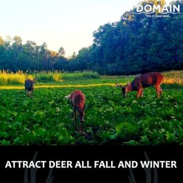 Domain Outdoor Big Sexy Food Plot Seed for Deer