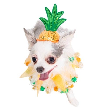 Adorable Pineapple Pet Costume for Dogs & Cats