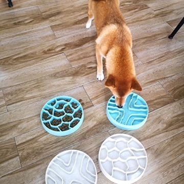 Healthy Eating for Pets with 8-Inch Slow Feeder Bowl