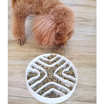 Healthy Eating for Pets with 8-Inch Slow Feeder Bowl