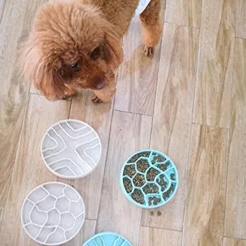 Healthy Eating for Pets with 8-Inch Slow Feeder Bowl