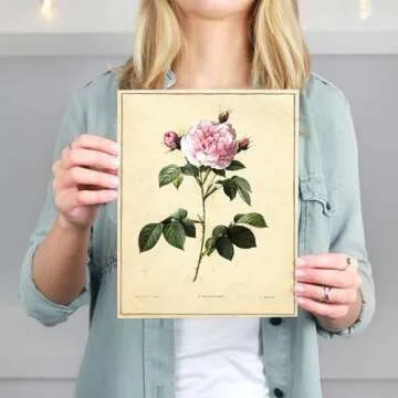 Vintage Botanical Art Prints | Unframed Floral Décor Collection