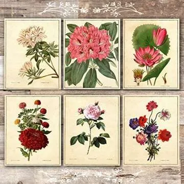 Vintage Botanical Art Prints | Unframed Floral Décor Collection