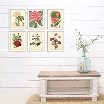 Vintage Botanical Art Prints | Unframed Floral Décor Collection