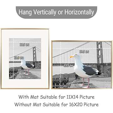 Frametory, 16x20 Picture Frame Matted to 11x14 Aluminum Metal Photo Frames Real Glass Vertical or Ho...