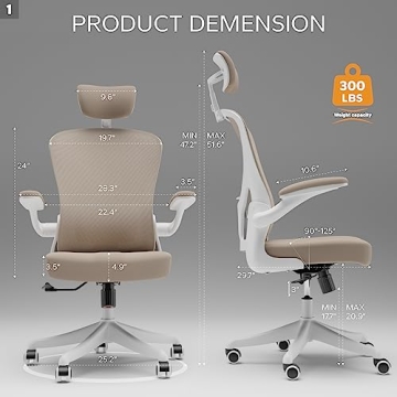 SICHY AGE Office Chair with Ergonomic Lumbar Support