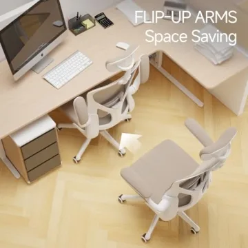 SICHY AGE Office Chair with Ergonomic Lumbar Support