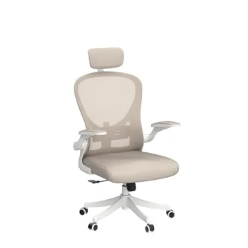 SICHY AGE Office Chair with Ergonomic Lumbar Support
