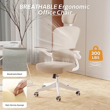 SICHY AGE Office Chair with Ergonomic Lumbar Support