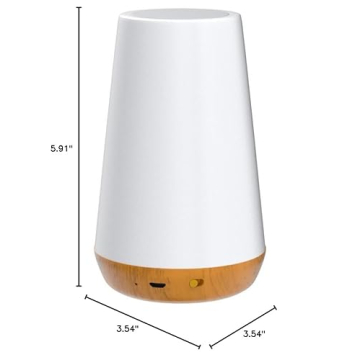 Dimmable Portable Night Light with Remote Control