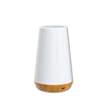 Dimmable Portable Night Light with Remote Control