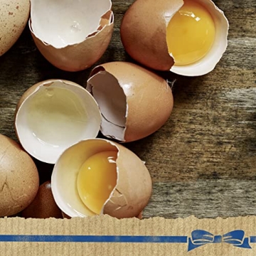 Hellmann's Organic Mayonnaise Creamy Condiment 15 Oz Pack