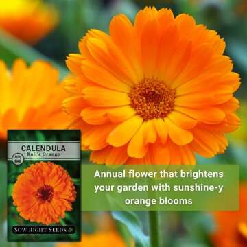 Ball's Orange Calendula Seeds - Easy To Grow & Pollinator Friendly