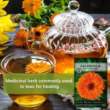 Ball's Orange Calendula Seeds - Easy To Grow & Pollinator Friendly