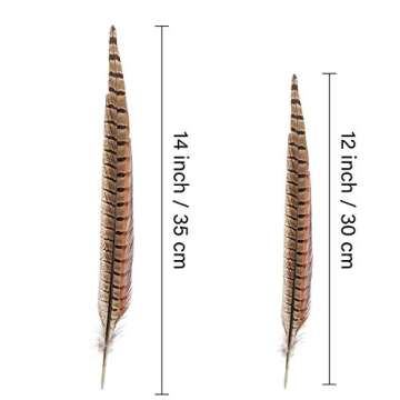 AWAYTR 20pcs Natural Pheasant Feathers - Pheasant Tail 12-14inch(30-35cm) for DIY Decoration (Pheasant Tail)