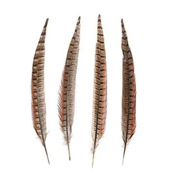 AWAYTR 20pcs Natural Pheasant Feathers - Pheasant Tail 12-14inch(30-35cm) for DIY Decoration (Pheasant Tail)
