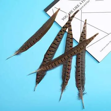 AWAYTR 20pcs Natural Pheasant Feathers - Pheasant Tail 12-14inch(30-35cm) for DIY Decoration (Pheasant Tail)
