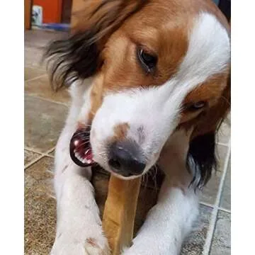 Yeti Dog Chew - Healthy Long Lasting Yak Cheese Chews