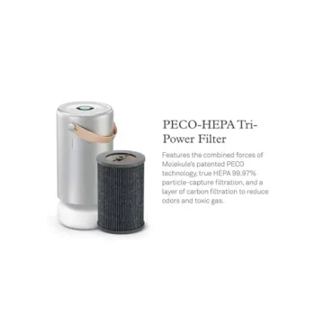 Molekule PECO-HEPA Tri-Power Filter Air Mini and Air Mini+ | Air Purifier Replacement Filters for Allergens, Smoke, Mold, Bacteria, Viruses & Other Pollutants for Clean Air - Gray