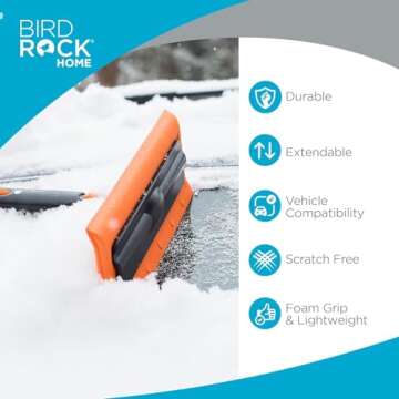 BIRDROCK HOME 55" Extendable Snow Brush with 14" Foam Head & Ice Scraper with Glove | Aluminum Grip ...