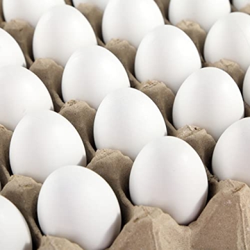 Sallyfashion 60 Pcs White Plastic Eggs for Crafts and Celebrations