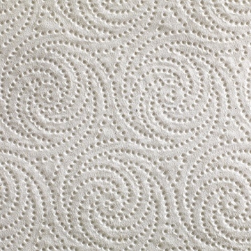 Georgia-Pacific Blue Select 2-Ply Paper Towels 30 Rolls