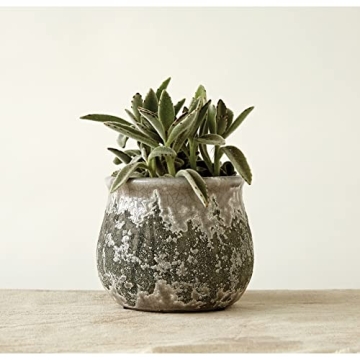 Creative Co-Op Distressed Grey Terracotta Planter for Any Decor