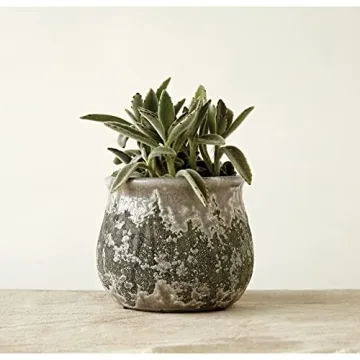 Creative Co-Op Distressed Grey Terracotta Planter for Any Decor