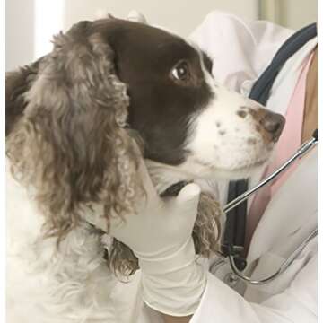 Adenna Handy Guard 4 mil Latex Powder Free Gloves (White, Large) Box of 100