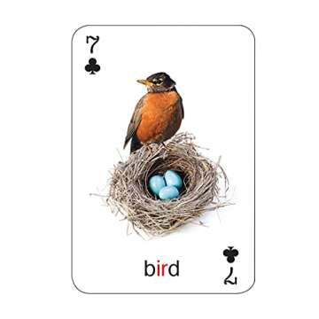 Super Duper Publications | Tiny Talk Articulation and Language R Sound Photo Flash Cards | Educational Resource for Children