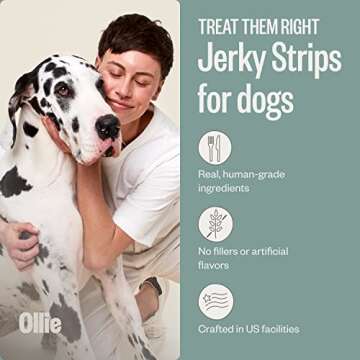 Ollie Chicken and Apple Jerky Dog Treats, 5 oz Pack of 1, All Natural, Healthy Snacks, Made with Rea...
