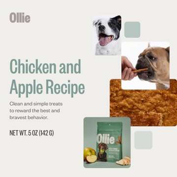 Ollie Chicken and Apple Dog Jerky Treats - Healthy Snack