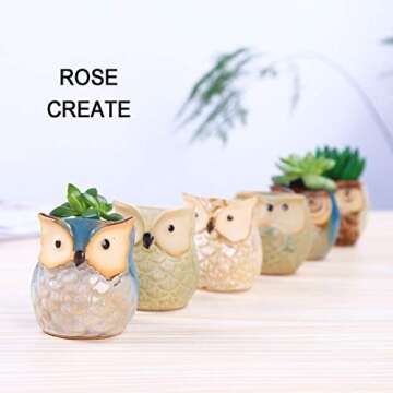 ROSE CREATE 6 Pcs 2.5 Inches Owl Pots, Little Ceramic Succulent Bonsai Pots with a Hole - Pack of 6