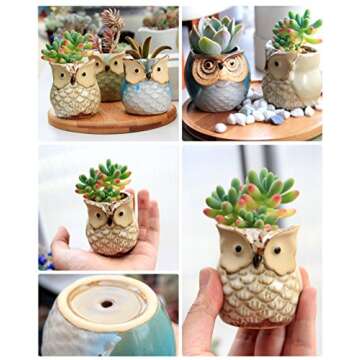 ROSE CREATE 6 Pcs 2.5 Inches Owl Pots, Little Ceramic Succulent Bonsai Pots with a Hole - Pack of 6