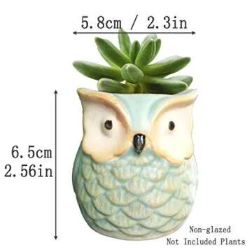 ROSE CREATE 6 Pcs 2.5 Inches Owl Pots, Little Ceramic Succulent Bonsai Pots with a Hole - Pack of 6