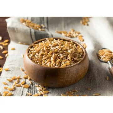Organic Kamut Wheat Berries – Non-GMO Whole Grain 25 lbs
