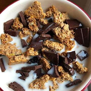 Name Single: Julian Bakery® ProGranola® Cereal Vegan | Vanilla Cluster | 10g Protein | 1 Net Carbs | 0 Sugar | Gluten-Free | Grain-Free | 17 Servings (1)