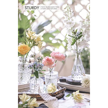 Stylish Glass Bud Vase Set for Weddings and Home Decor