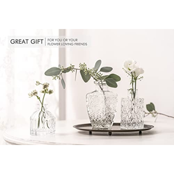 Stylish Glass Bud Vase Set for Weddings and Home Decor