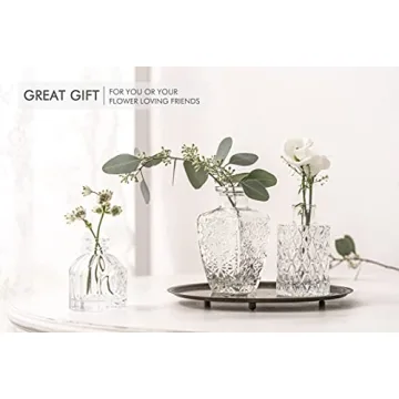 Stylish Glass Bud Vase Set for Weddings and Home Decor