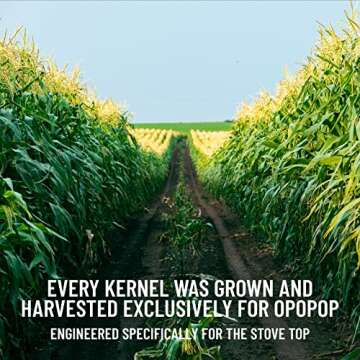 Opopop Stovetop Popcorn Kernels - Non-GMO Gourmet Popcorn Kernels, Gluten Free, Vegan, 2-11.3 Ounce Bags