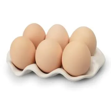 Ceramic 6 Cups Egg Tray,Half Dozen Porcelain Egg Holder Container Keeper Storage Organizer, Decorative Serving Stand Serveware for Refrigerator Fridge Countertop Display Kitchen (White)