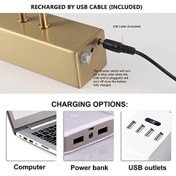 HOWMZON 350LM Wireless Brass Picture Light with Remote